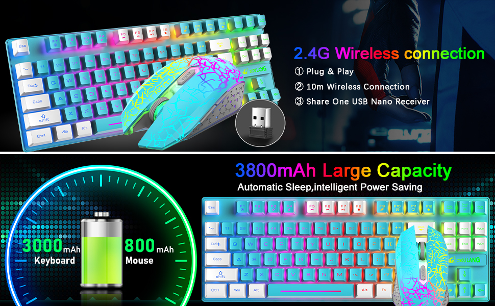 image for this item