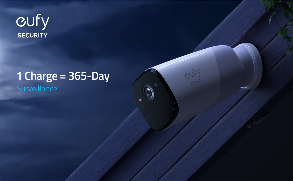 image for this item