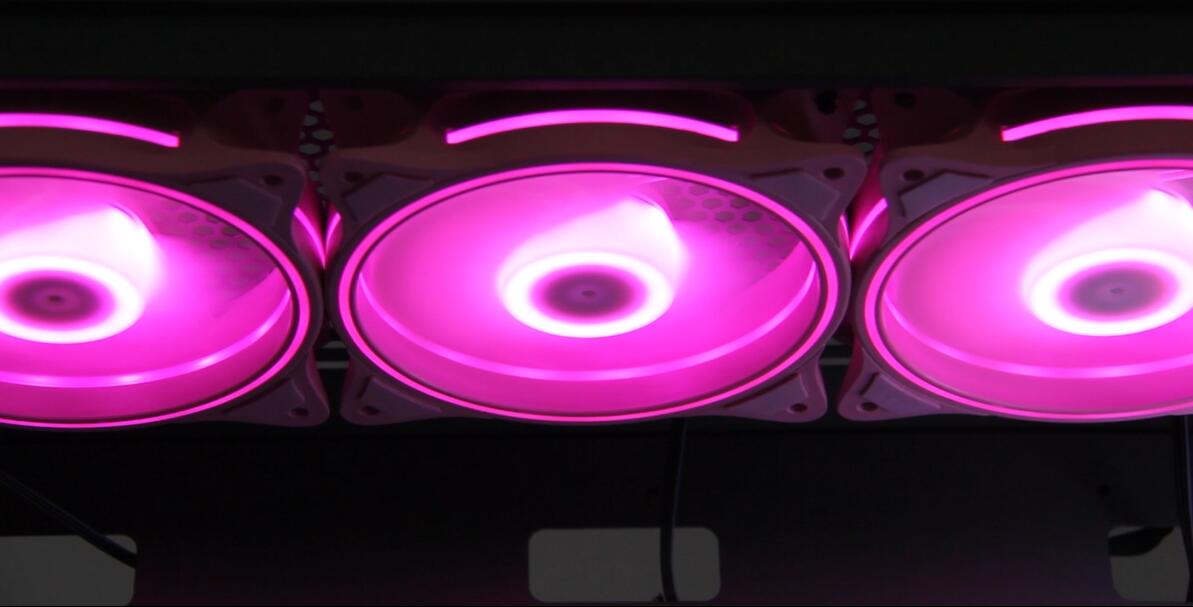 image for this item