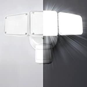 image for this item