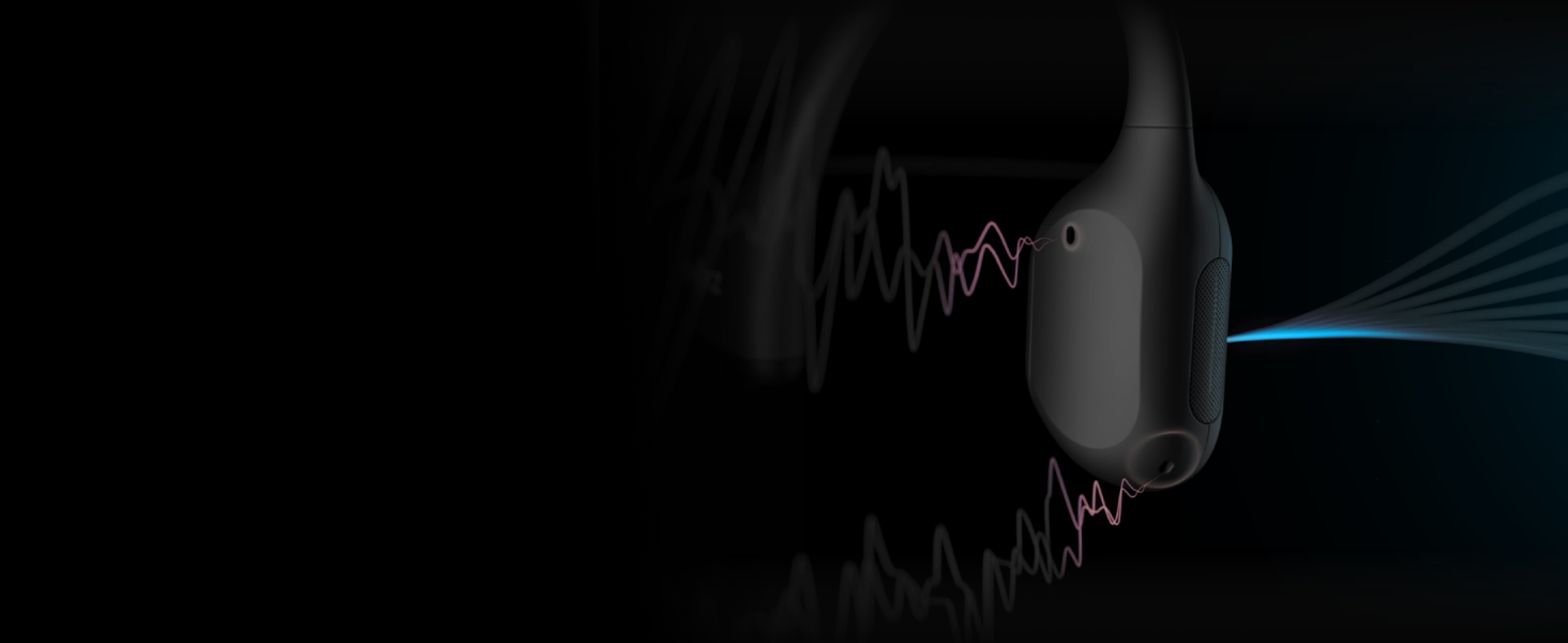 Dual Noise-Canceling Microphone