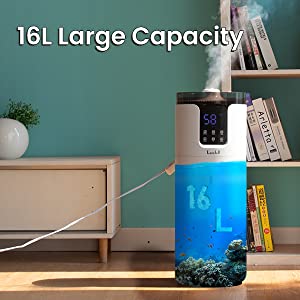 image for this item