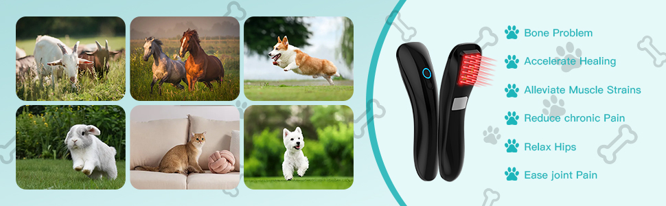 Improve various symptoms and problems of pets