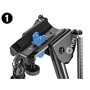 image for this item