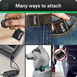 image for this item