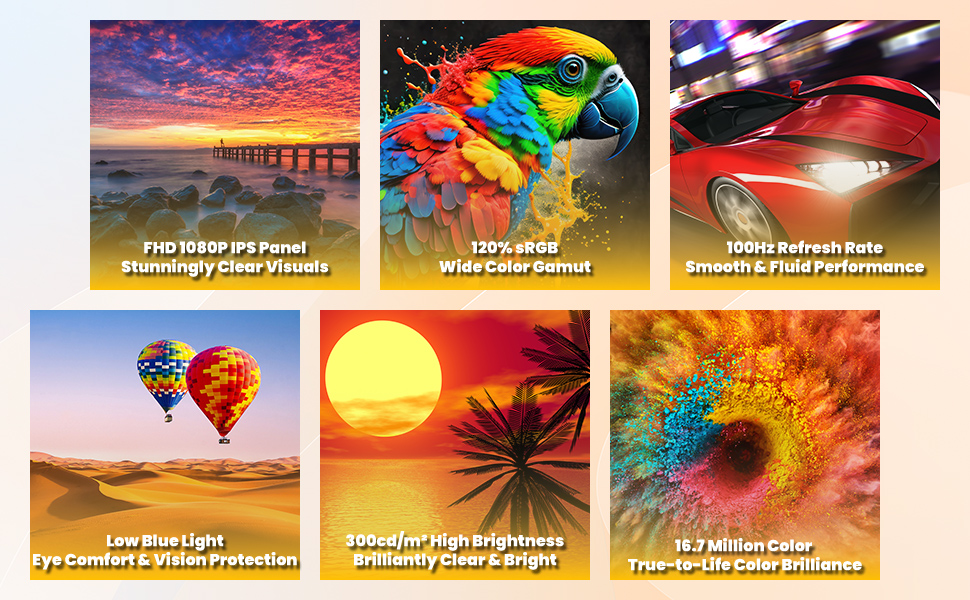 Experience a Fully Immersive Visual Feast