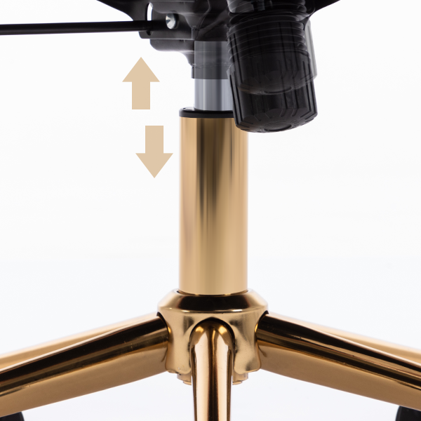 image for this item