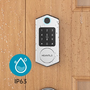 image for this item