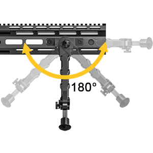 image for this item