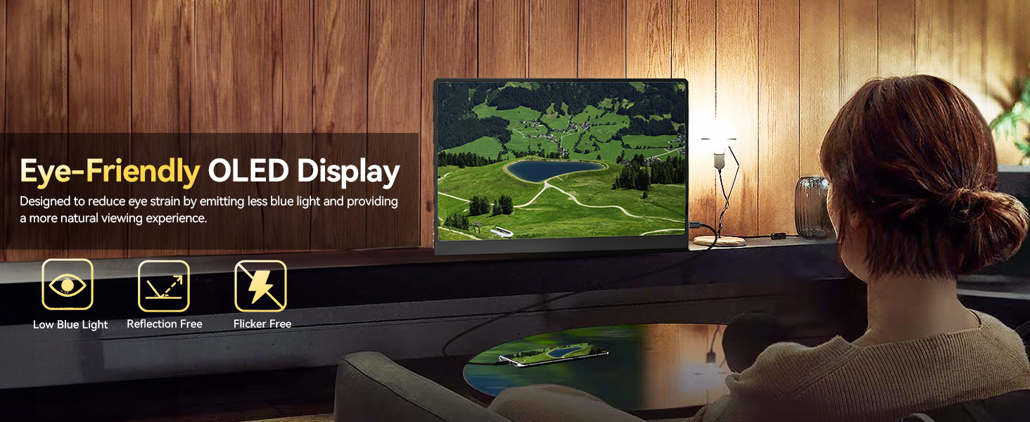 OLED DISPLAY