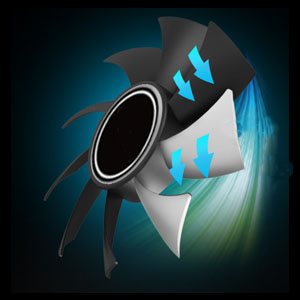 image for this item