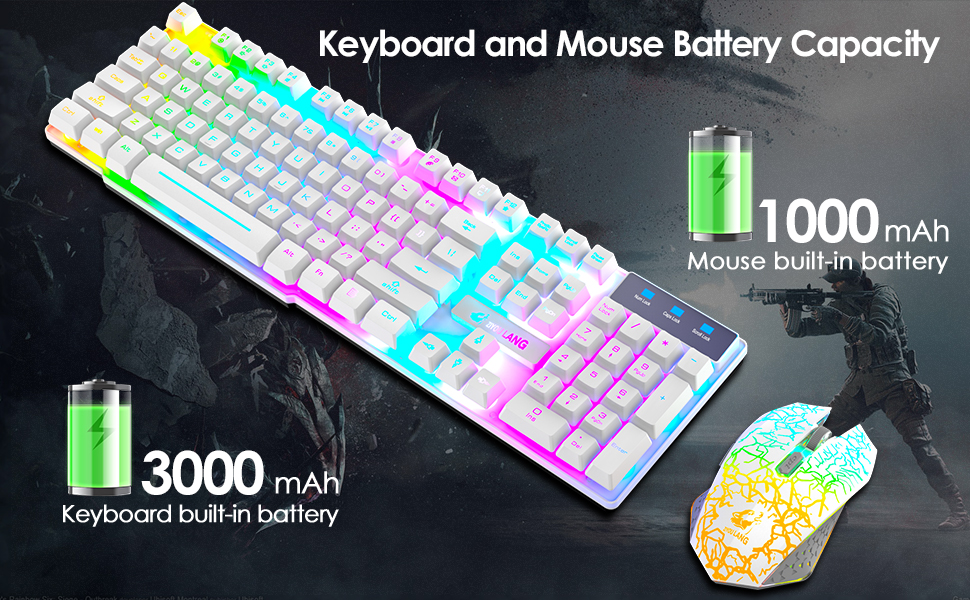 image for this item