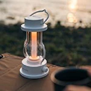image for this item