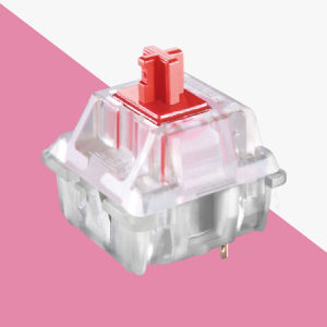image for this item