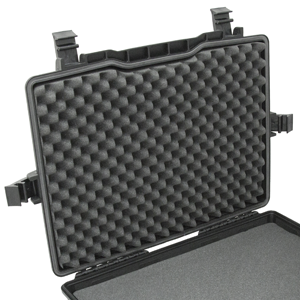 image for this item