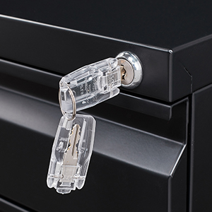 image for this item