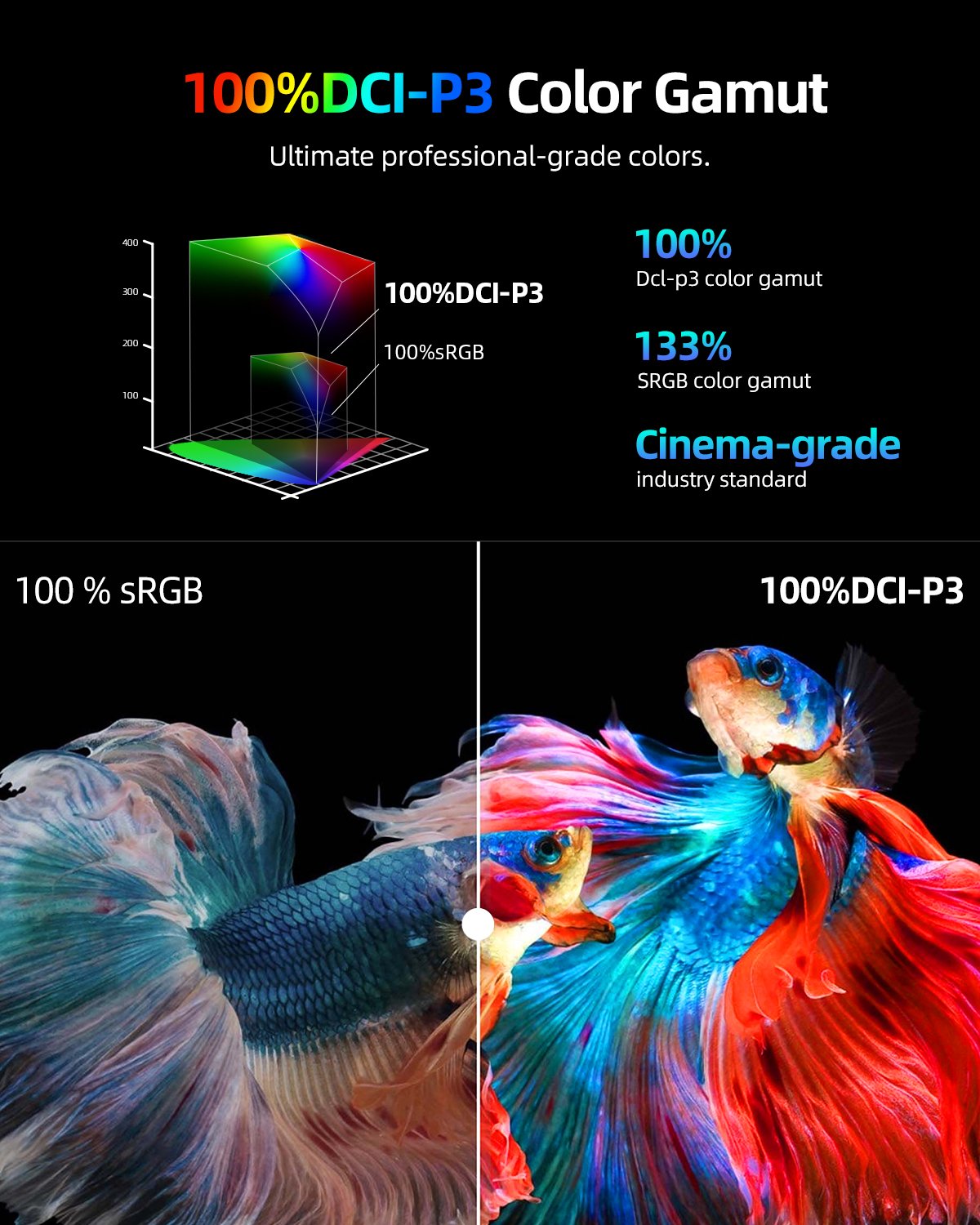 3K monitor