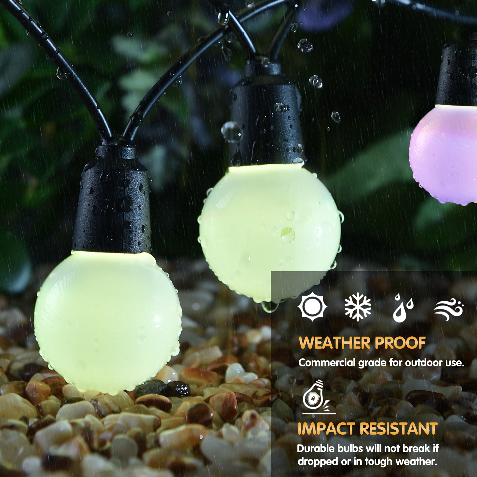 image for this item