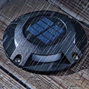 image for this item