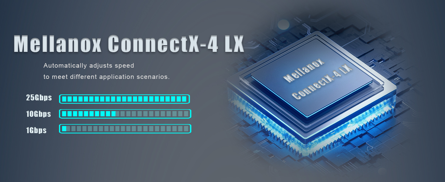25Gb Network Card