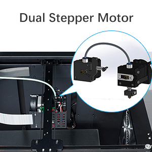 dual feeding motor