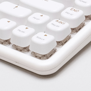 image for this item