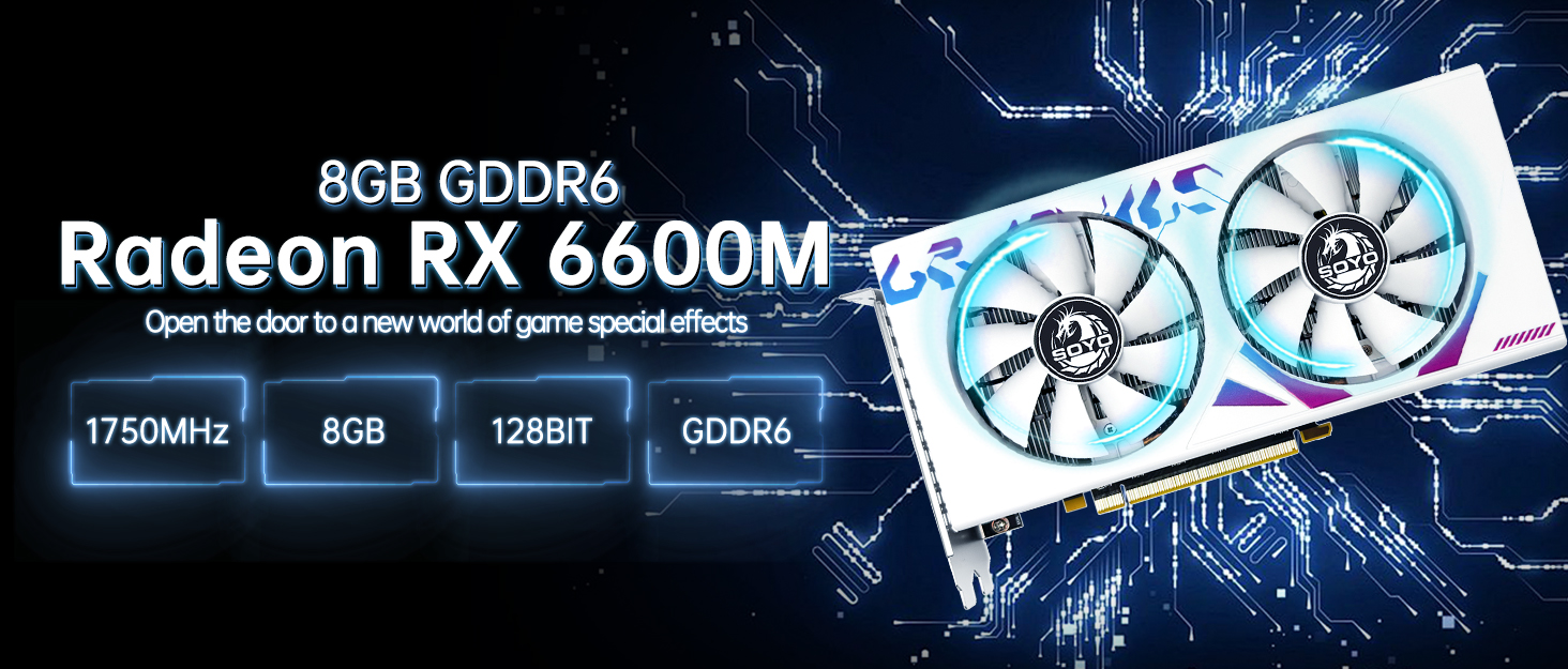 RX6600M