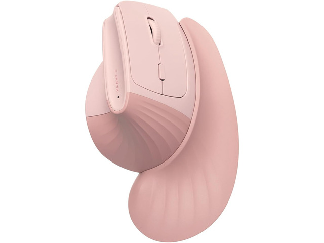 Mouse