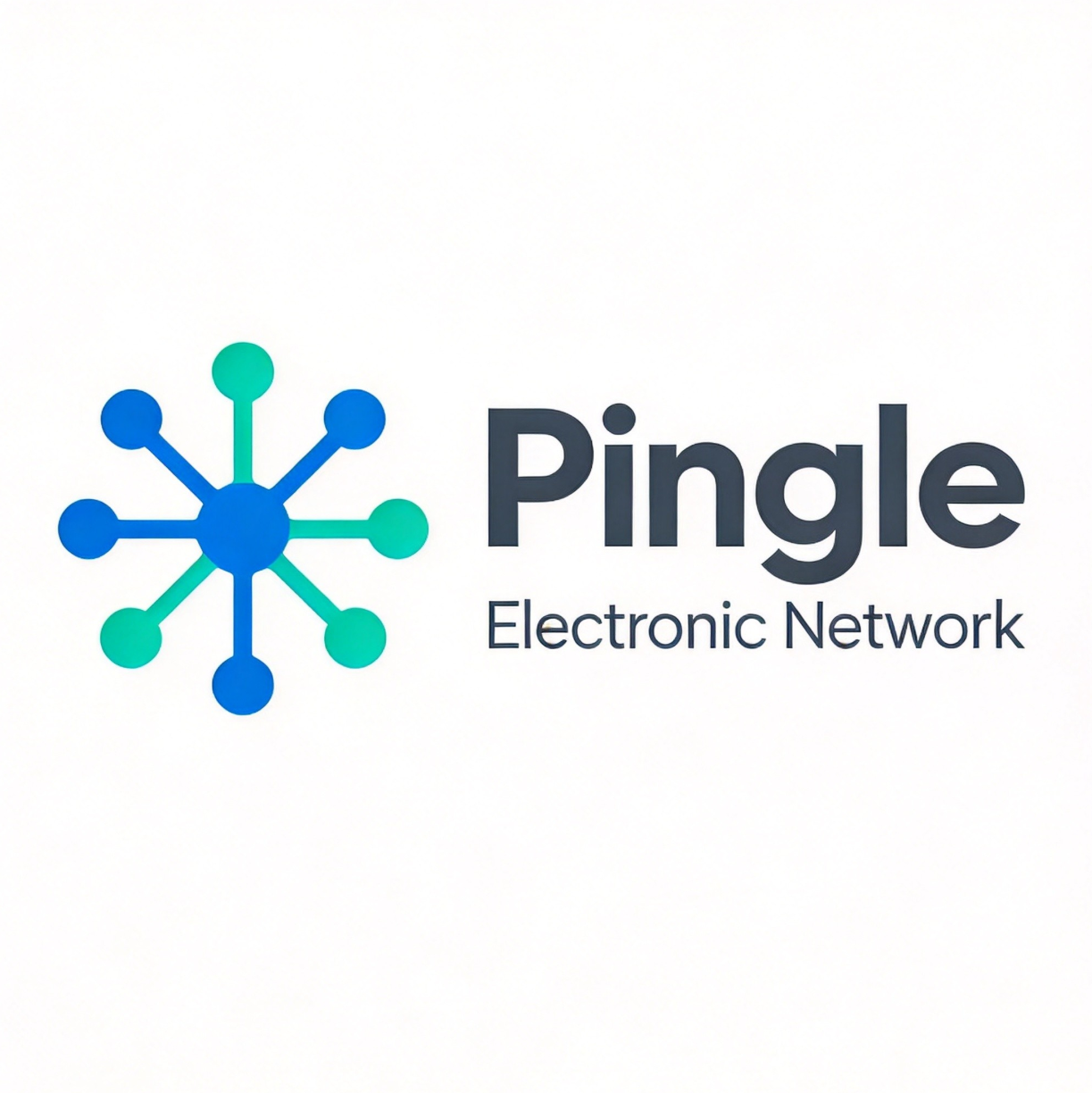 Pingle Electronic Network