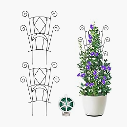 Verdant Fortify