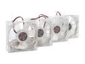 LED fans