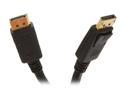 BYTECC DP-10K 10 ft. Black DisplayPort male to DisplayPort male Audio / Video Cable Male to Male