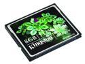 Kingston Technology Corp. CF/8GB-S2 Flash Memory