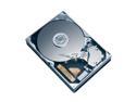 Hitachi Global Storage Technologies HDT725032VLAT80 Internal Hard Drives