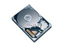 SAMSUNG HM320JI Laptop Hard Drives