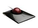 Kensington K72327US Mouse