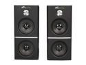 2.1 Speakers with Subwoofer