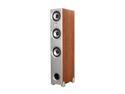 Floorstanding Loudspeaker