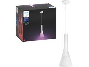 Philips Hue 4300131U7 Hue White & Color Ambiance Accs Ascend Pendant Light Philips Hue 4300131U7 Hue White & Color Ambiance Accs Ascend Pendant Light