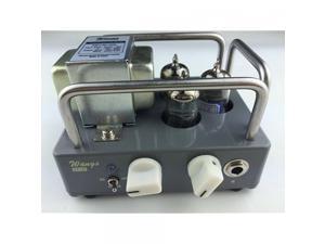 BIYANG/ WANG AMPS VT-1H ALL TUBE 1 WATT MICRO AMP HEAD COMPACT/POWERFUL BIYANG/ WANG AMPS VT-1H ALL TUBE 1 WATT MICRO AMP HEAD COMPACT/POWERFUL