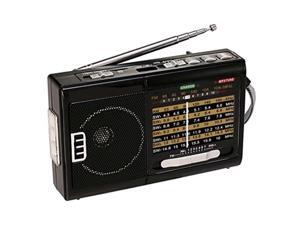 qfx r39 am/fm/sw 10 band radio with flashlight and usb/tf player qfx r39 am/fm/sw 10 band radio with flashlight and usb/tf player