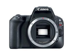 Canon EOS Rebel SL2 Camera- Body Only EOS Rebel SL2 Canon EOS Rebel SL2 Camera- Body Only EOS Rebel SL2