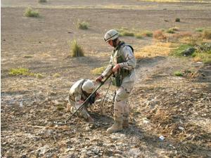 Soldiers use a mine detector to search for Improvised Explosive Devices Poster Print by Stocktrek Images (17 x 11) Soldiers use a mine detector to search for Improvised Explosive Devices Poster Print by Stocktrek Images (17 x 11)