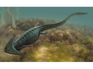 Diplocaulus salamandroides a prehistoric animal from the Paleozoic Era Poster Print by Sergey KrasovskiyStocktrek Images (17 x 11) Diplocaulus salamandroides a prehistoric animal from the Paleozoic Era Poster Print by Sergey KrasovskiyStocktrek Images (17 x 11)