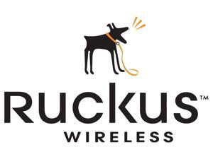 RUCKUS WIRELESS - SPARES OF US POWER ADAPTER FOR ZONEFLEX R720 - QUANTITY OF 1 RUCKUS WIRELESS - SPARES OF US POWER ADAPTER FOR ZONEFLEX R720 - QUANTITY OF 1