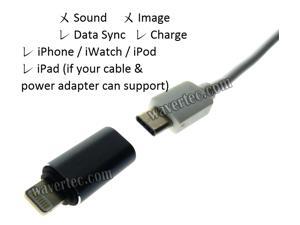 USB Type C Female to Lightning Male Adapter Galaxy S8 to iPhone Converter Samsung LG Android Type C to Apple Lightning Connector OEM USB Type C Female to Lightning Male Adapter Galaxy S8 to iPhone Converter Samsung LG Android Type C to Apple Lightning Connector OEM