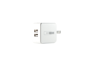 OMNIHIL Replacement 2-Port USB Charger for Saregama Carvaan Tamil SC03 Portable Digital Music Player OMNIHIL Replacement 2-Port USB Charger for Saregama Carvaan Tamil SC03 Portable Digital Music Player