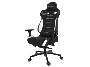 Vertagear Racing Series P-Line PL4500 Ergonomic Racing Style Gaming Office Chair - TSM Special Edition Vertagear Racing Series P-Line PL4500 Ergonomic Racing Style Gaming Office Chair - TSM Special Edition