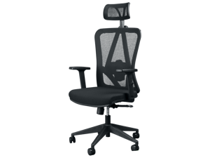 Titan Ergo Executive Office Chair with Adjustable Lumbar Support, Headrest, Armrest, and Height (Locking Mechanism for Recline Motion) Titan Ergo Executive Office Chair with Adjustable Lumbar Support, Headrest, Armrest, and Height (Locking Mechanism for Recline Motion)