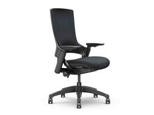 CLATINA 247 Series High Back Ergonomic Office Desk Chairs and Executive Chairs with Back Support, Black CLATINA 247 Series High Back Ergonomic Office Desk Chairs and Executive Chairs with Back Support, Black
